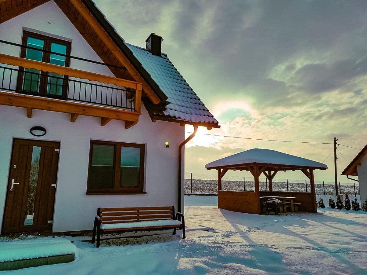 Villa Przysiolek Buczyna Na Kaszubach à Chrztowo Extérieur photo